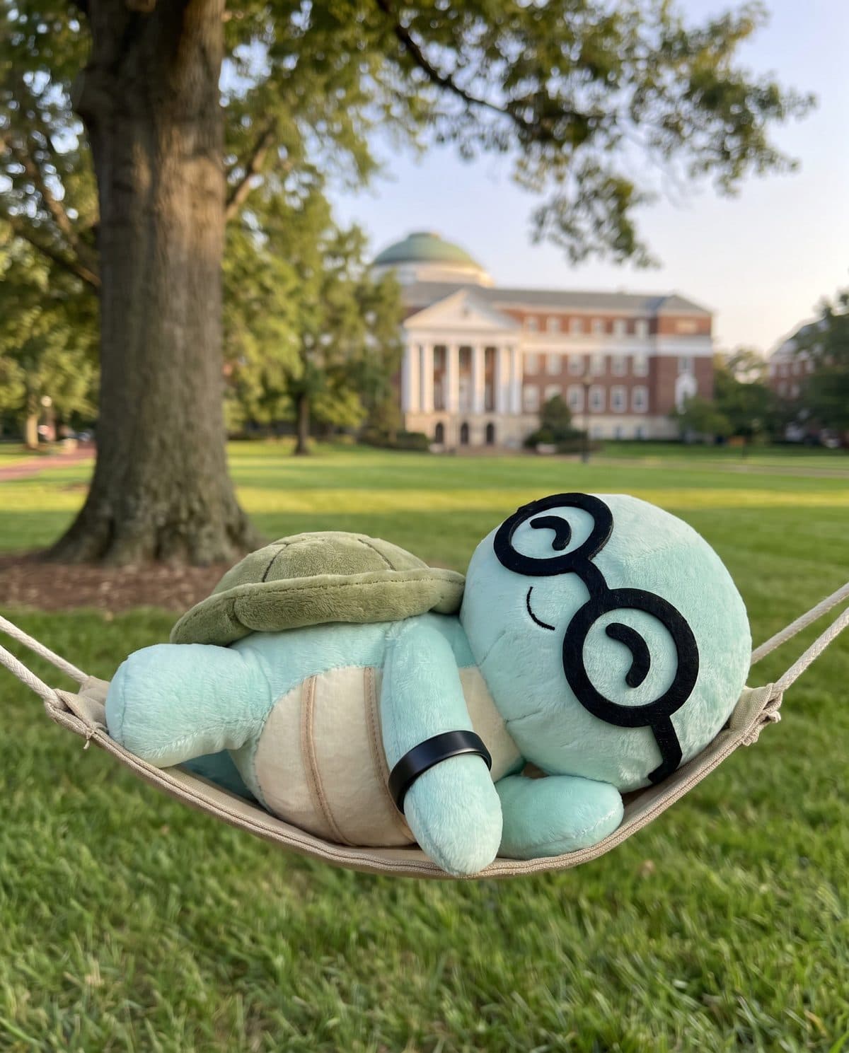 The NoTestudo plush asleep in a hammock on a campus lawn, wearing a ring